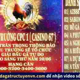 đá gà trực tiếp thomo 20 tháng 6