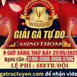 đá gà trực tiếp thomo 27 tháng 5
