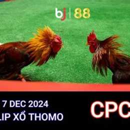 đá gà trực tiếp thomo ngày 12 tháng 6
