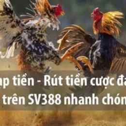 đá gà trực tiếp vs388