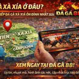 đá gà trực tiếp xà xía hà tiên