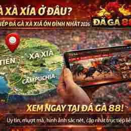 đá gà trực tiếp xà xía hôm nay