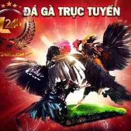 da ga truc tueo