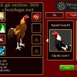 da ga. truc. tuyen. casino
