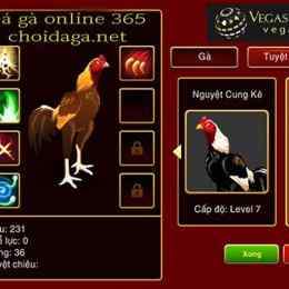 da ga truc tuyen vuabai9.com