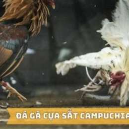 da ga tructiep cua dao