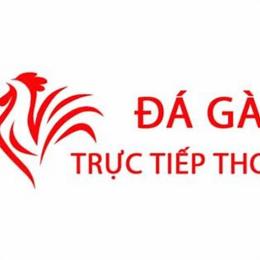 da ga trut tiep thom mo