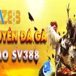 đá gà u888