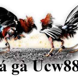 da ga ucw88 7789bet.top