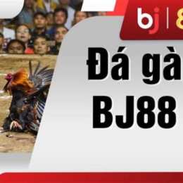 đá gà vz99