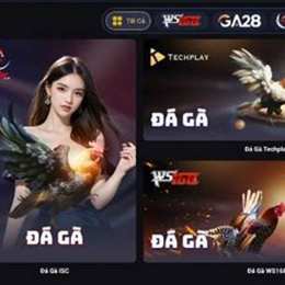 đá gà wgb