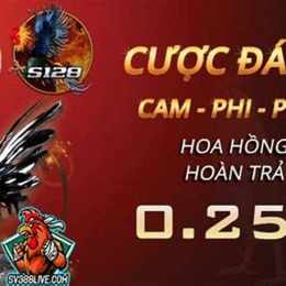 đăng ký tài khoản đá gà trực tiếp