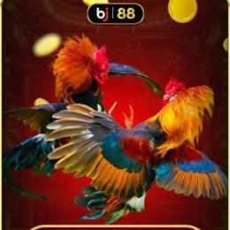 đăng nhập đá gà bj388