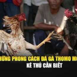 ga bao siting da thomo moi nhat