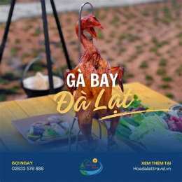 gà bay pallet đà lạt