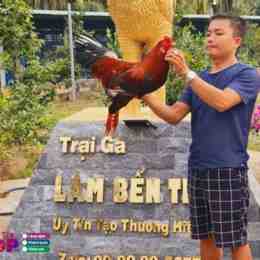ga da ben tre anh sau
