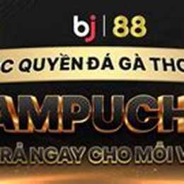 gà đá casino trực tiếp
