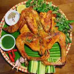 gà đà đông hưng