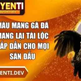 gà đá mang tai