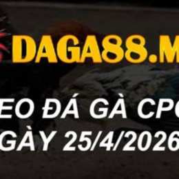 gà đá thomo ngày 25 tháng 5