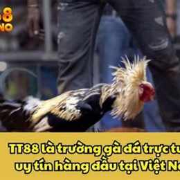 ga da truc tuep