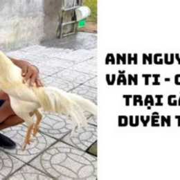 ga duyen ty da hom nay