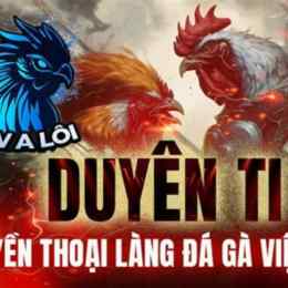 gà khét duyên ti đá giải