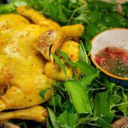 ga khong vay da hay khong