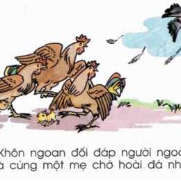 gà một mẹ chớ hoài đá nhau