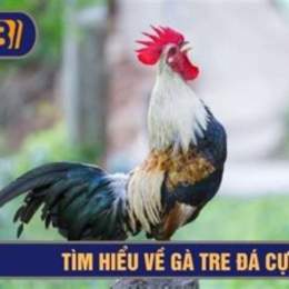 ga tre da cua sat 2016