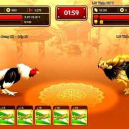 game đá gà y8