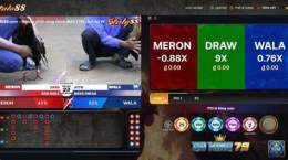 giao diện app 88 da ga thomo