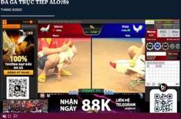 giao diện app alo789 da ga truc tiep