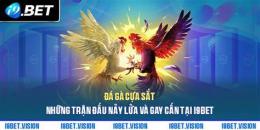 giao diện app bet đá gà