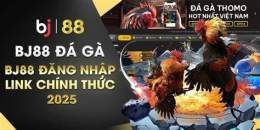 giao diện app bj 88 trang đá gà