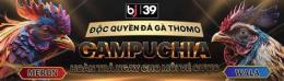 giao diện app bj39 trang đá gà thomo