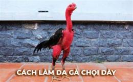 giao diện app cách làm da gà chọi dày