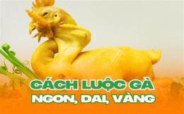 giao diện app cách luộc gà ngon không nứt da