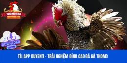 giao diện app coi gà trích anh cọp đá thomo