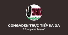 giao diện app congaden trực tiếp đá gà