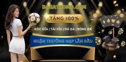 giao diện app đá gà 179 nét