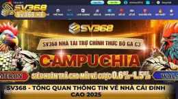 giao diện app đá gà 368 info