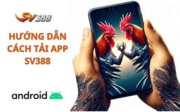 giao diện app đá gà 3/8/2024