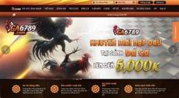 giao diện app đá gà 6789 uy châu á
