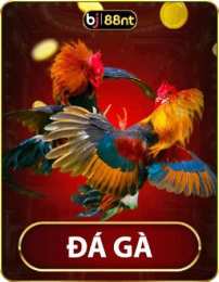 giao diện app đá gà 88 c1 c2 c3