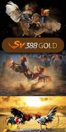 giao diện app đá gà 888 c3