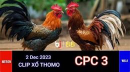 giao diện app đá gà 88.com cpc3