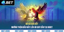 giao diện app đá gà a chiến