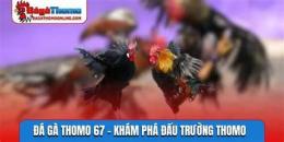 giao diện app đá gà bồ 67 thomo