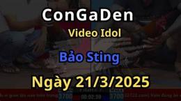 giao diện app đá gà c2 hôm nay bảo sting